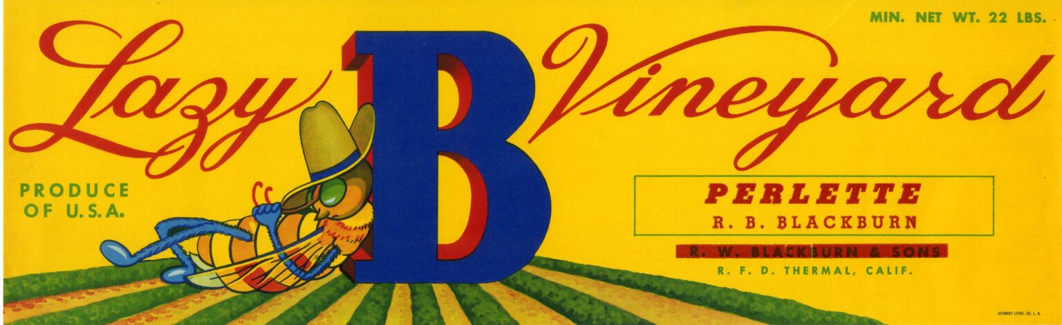 Lazy B Vineyard